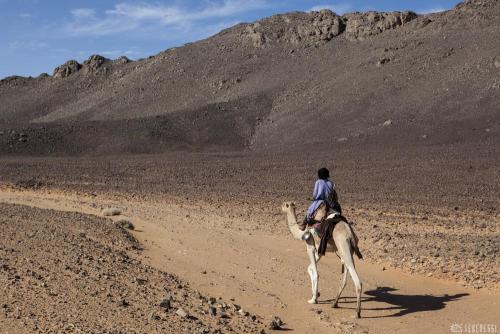 Algerie.Ahnet.Meharee.4