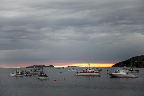 Te Araora The long patheway-002