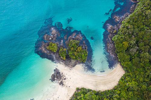 Te Araora The long patheway-004