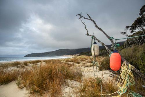 Te Araora The long patheway-006