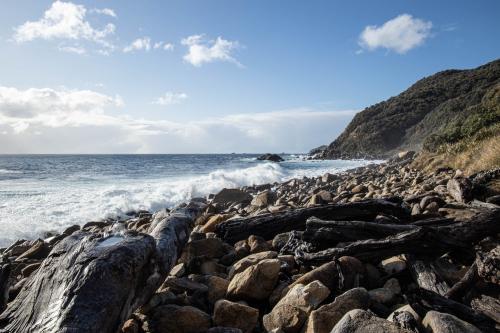 Te Araora The long patheway-012