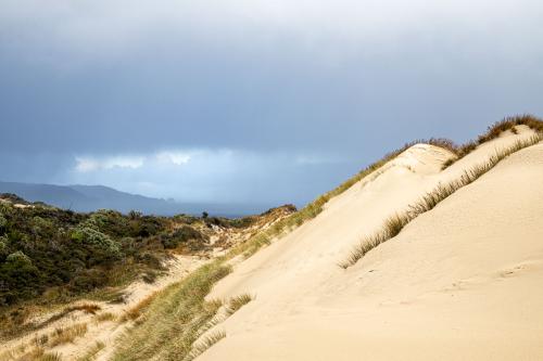 Te Araora The long patheway-015