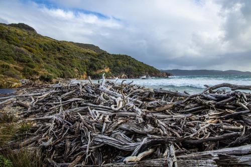 Te Araora The long patheway-016