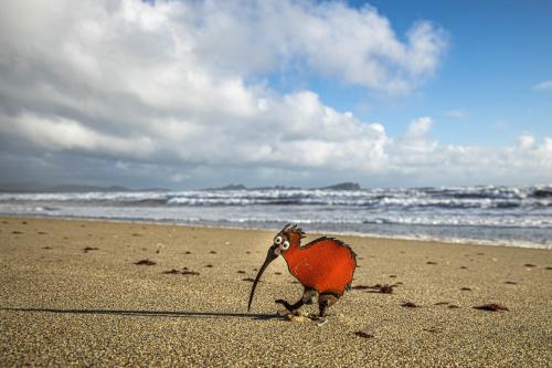 Te Araora The long patheway-018