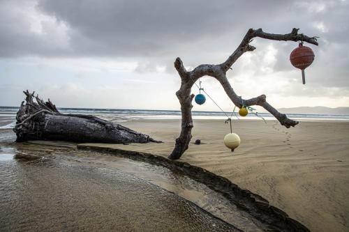 Te Araora The long patheway-020