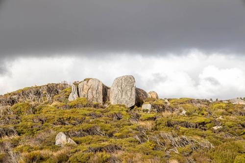 Te Araora The long patheway-022