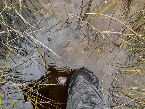 Te Araora The long patheway-027