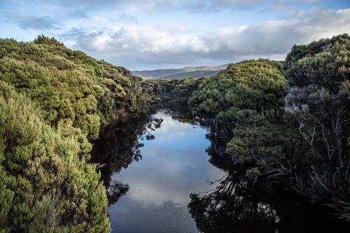 Te Araora The long patheway-029