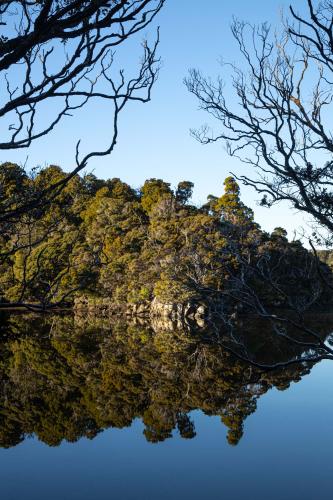 Te Araora The long patheway-032