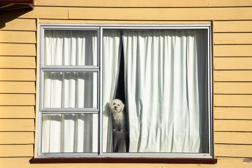 Te Araora The long patheway-034